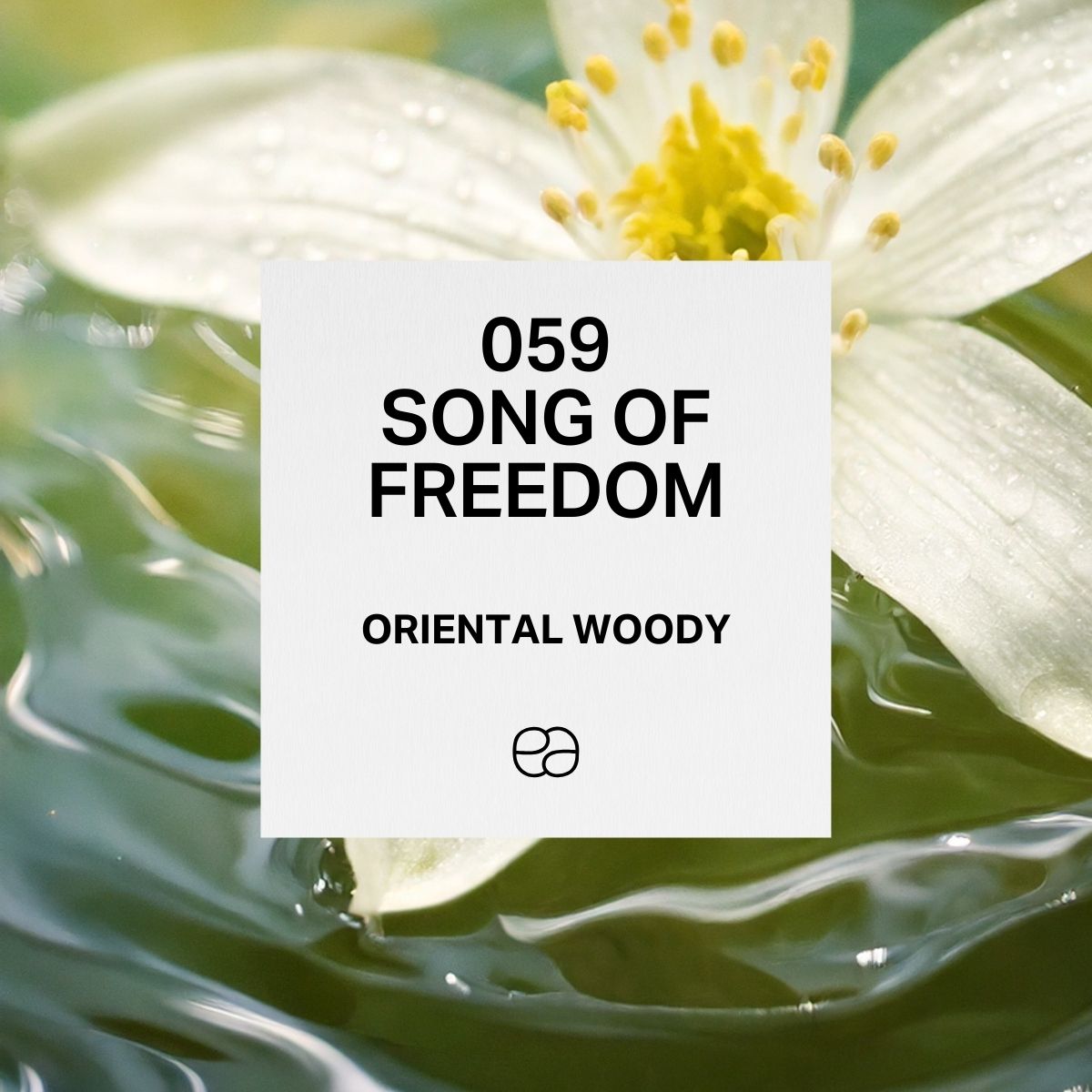 Song of freedom